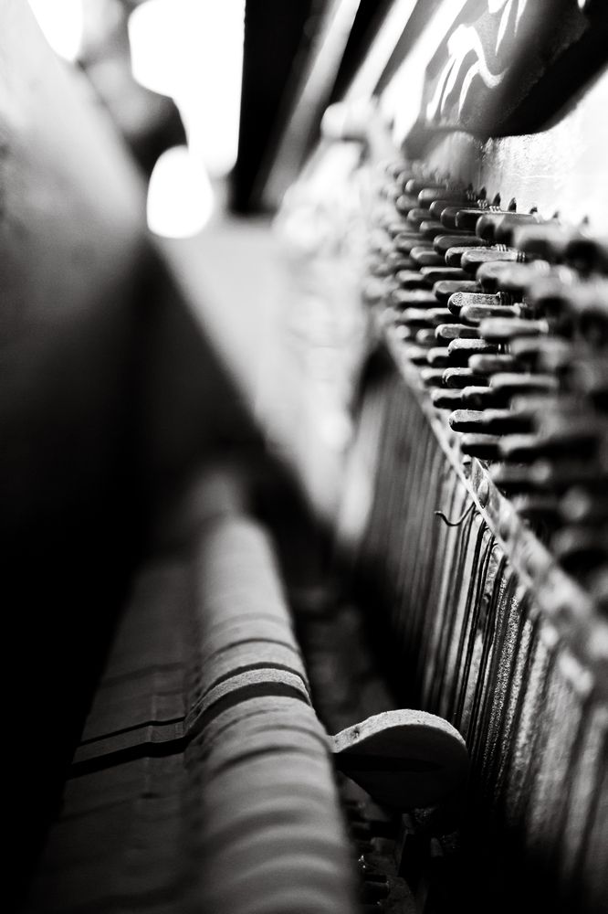 Photograph by Роман Акулов