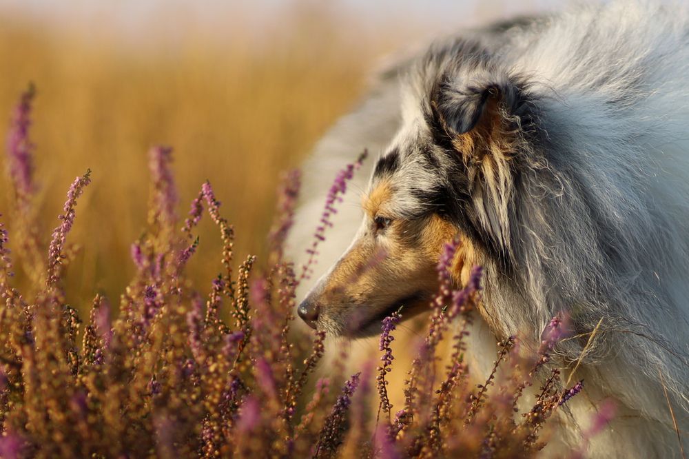 Фотография автора Veronika