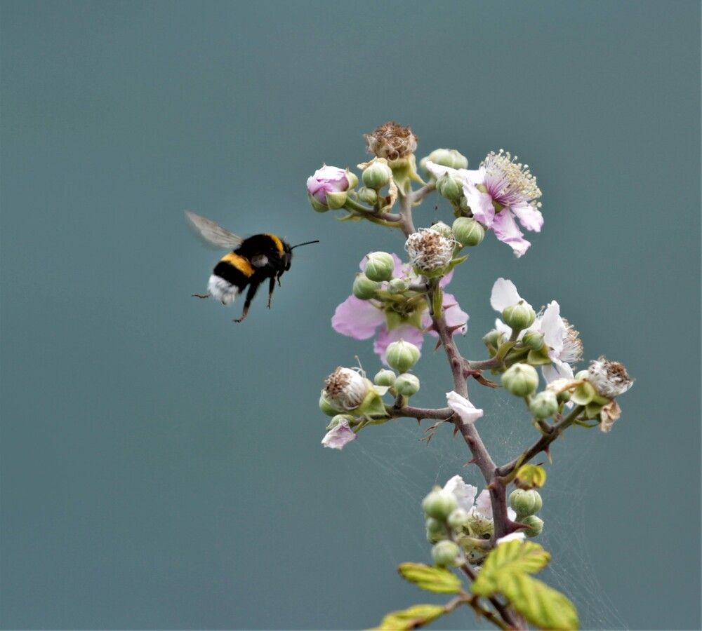Photograph by Inese Firsova
