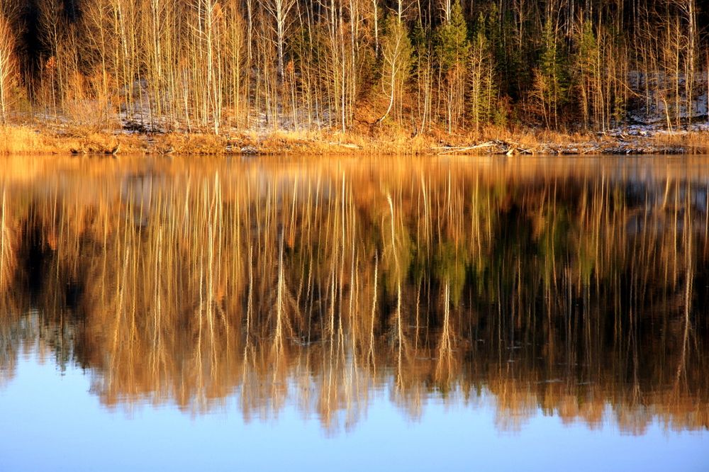 Фотография автора Nelya  Lysenko