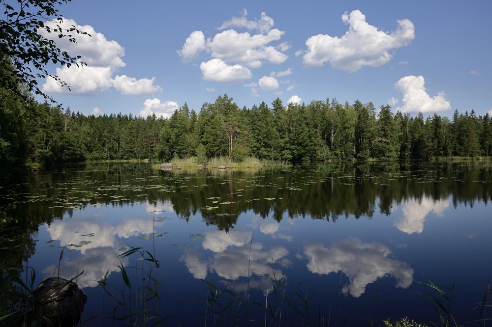 Photograph by АНДРЕЙ МИТЮРИН