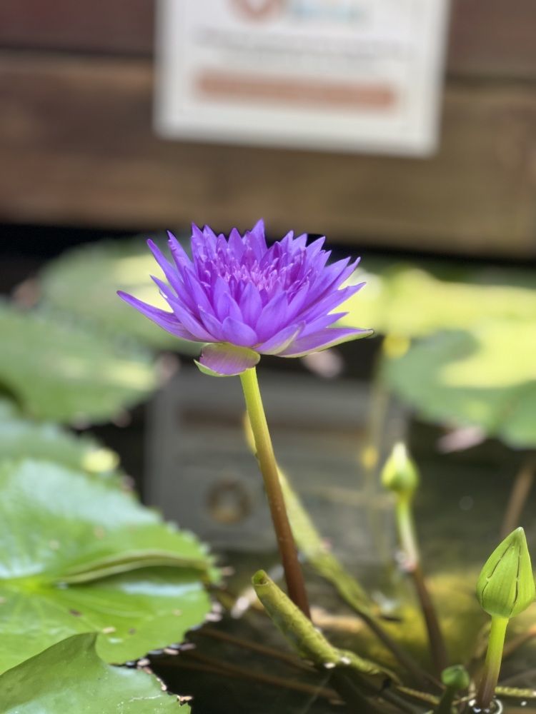 Photograph by Юрий