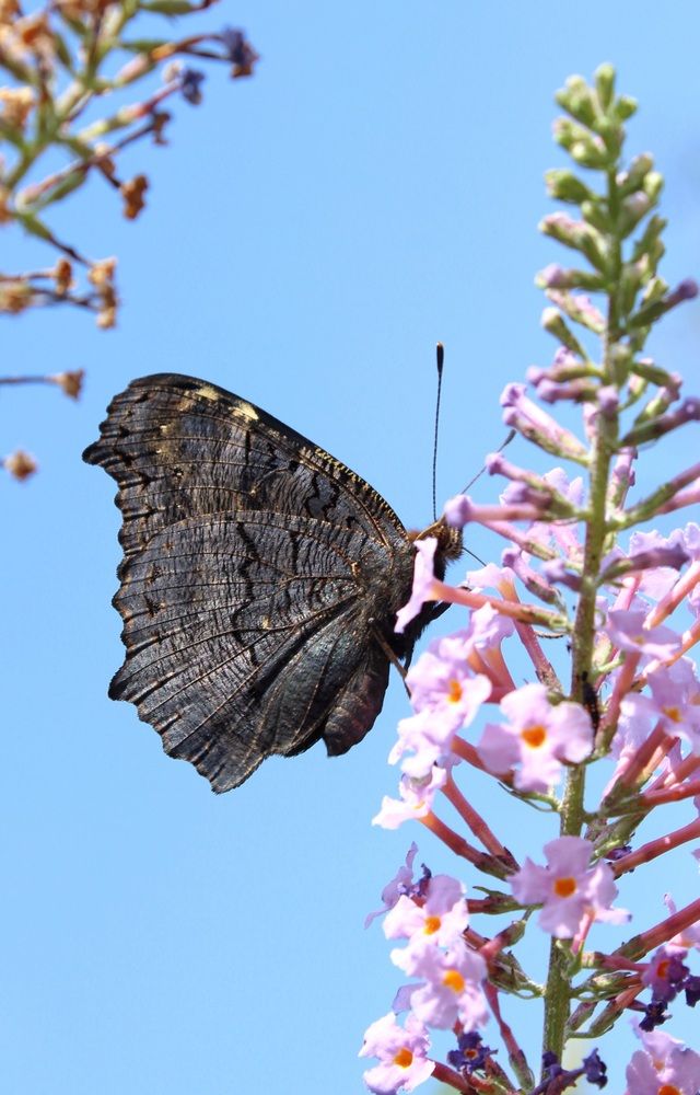 Photograph by Татьяна Сычёва