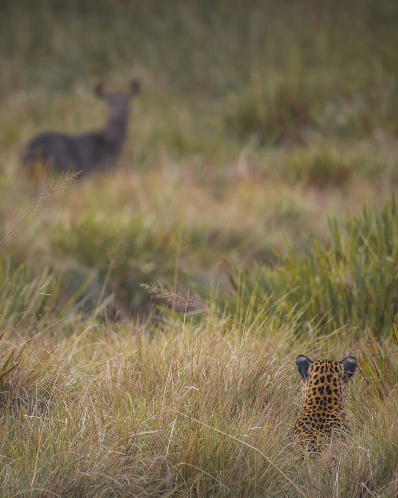 Photograph by Bimsara De Alwis