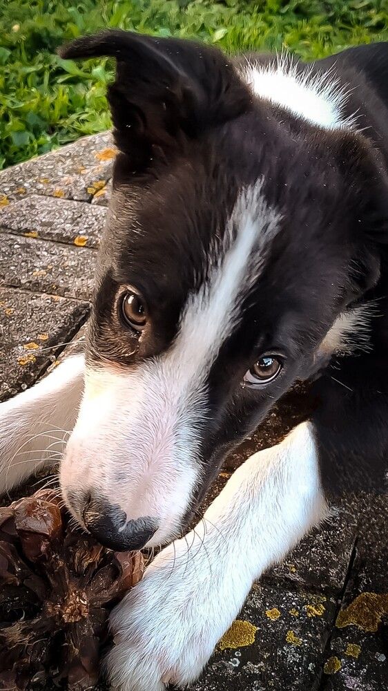 Photograph by luca palombelli