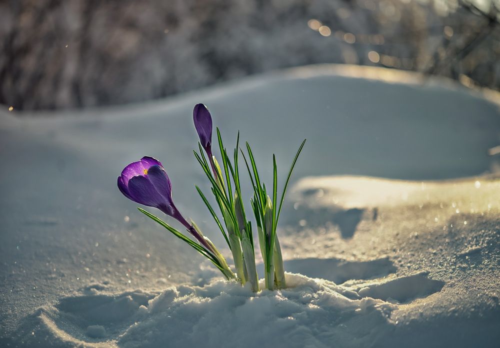 Photograph by Marina Ivanova