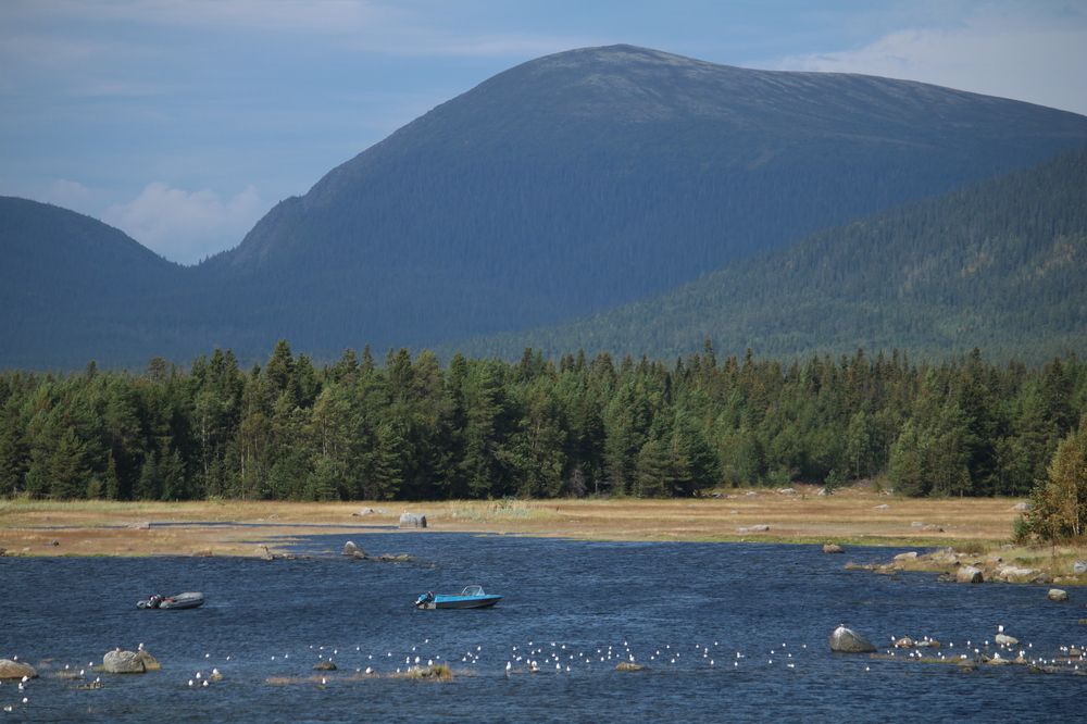 Photograph by Полина Зайцева