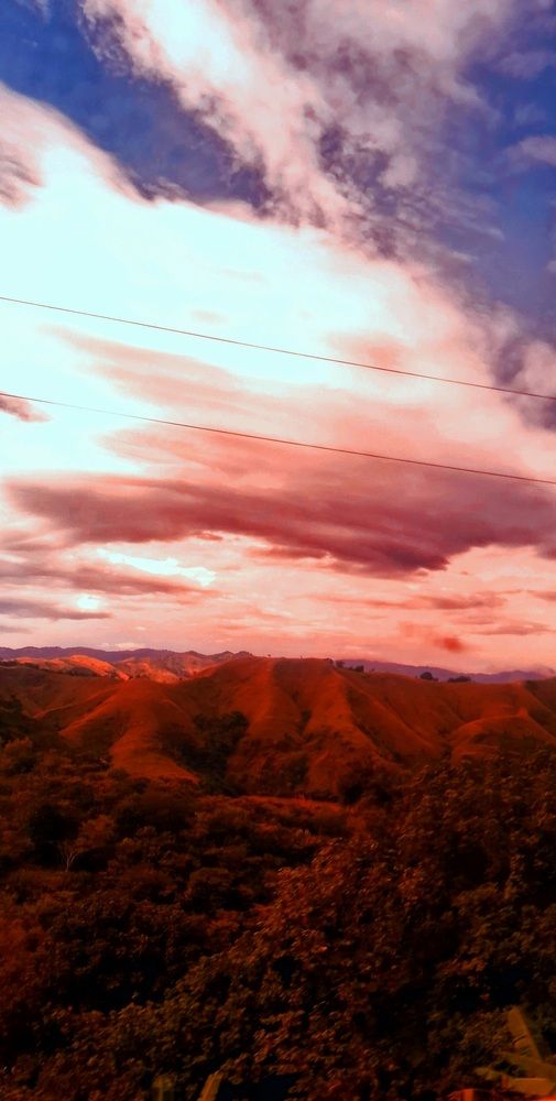 Photograph by Meire Costa