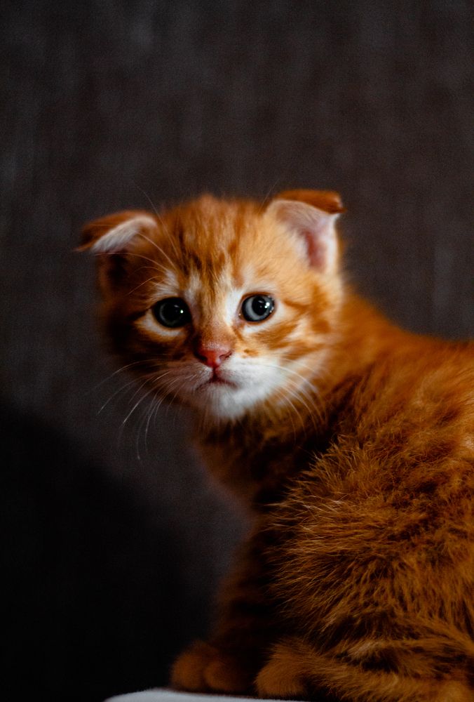 Фотография автора Никита Сагунов