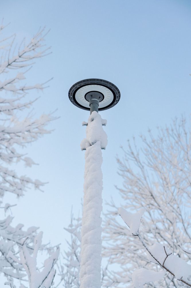 Снежный Ростов