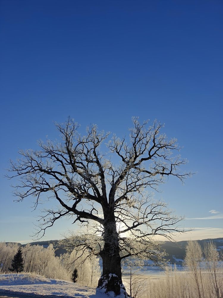 Фотография автора Andrii Shulha