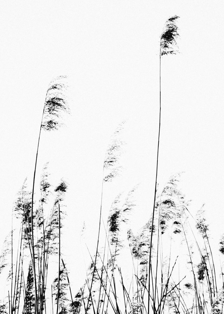 В засаде / In an ambush