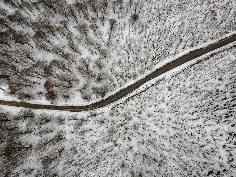 Photograph by Serdar AVCI