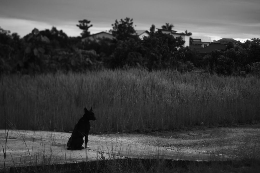 Photograph by Hans Richard Hans