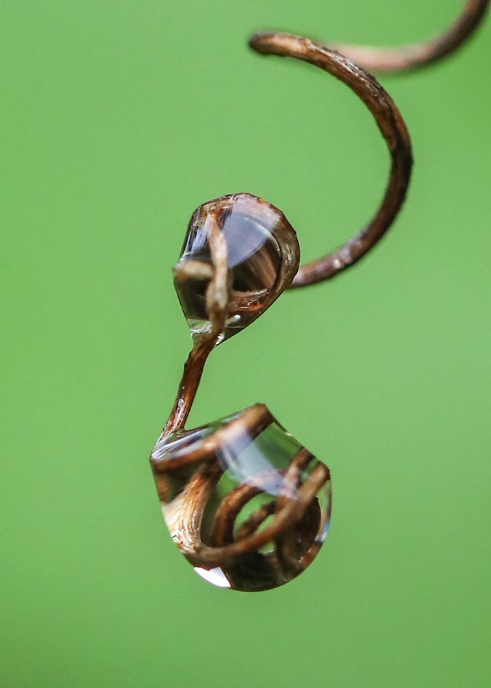 Photograph by Frank cobo blanco