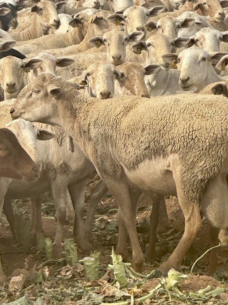 Фотография автора Jonathan Artpicsjona