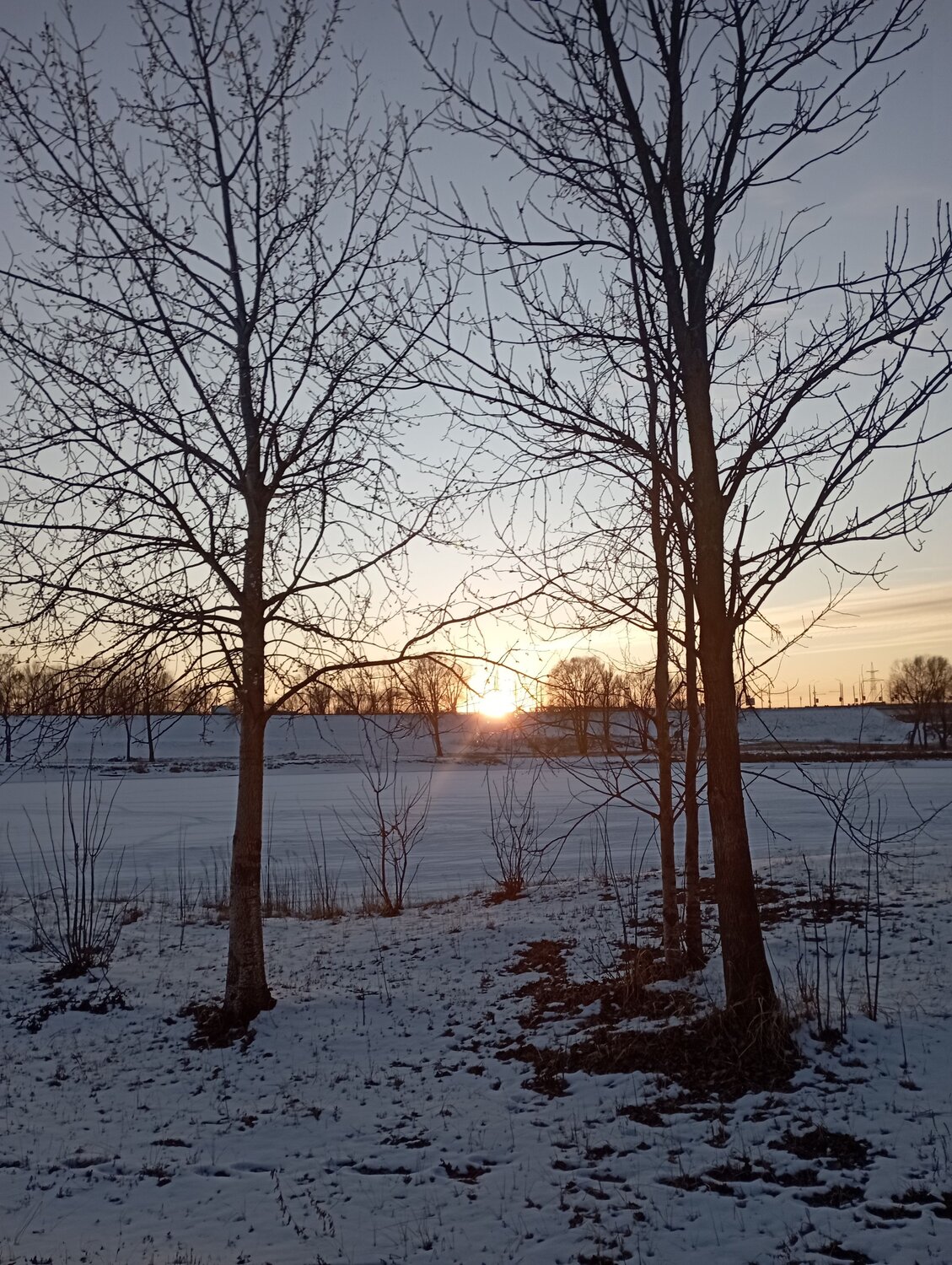 Photo #11944897