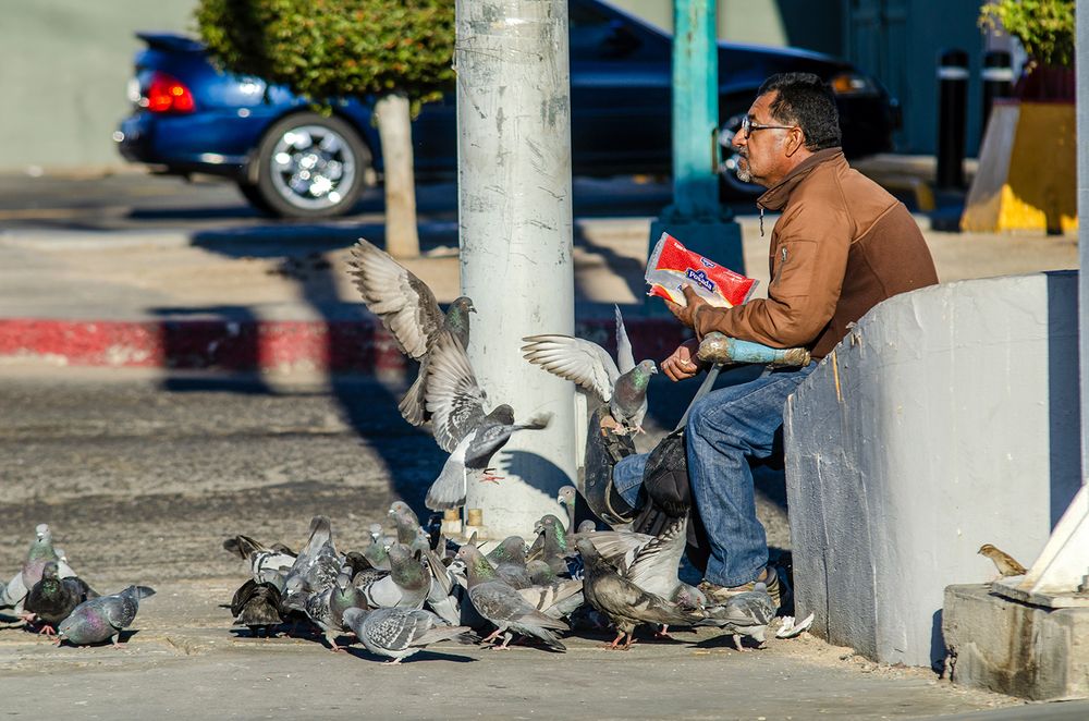 Photograph by Luis Rodríguez Araiza