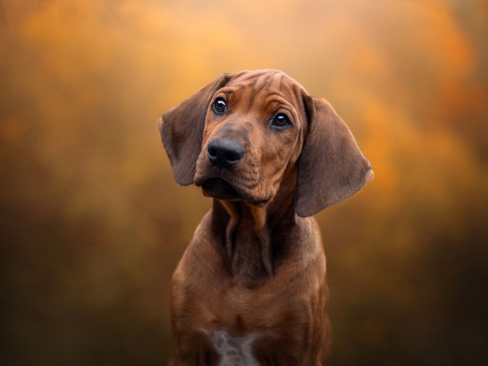 Photograph by Dorota Hnatová