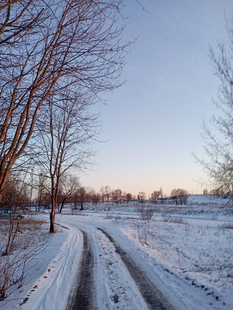 Photo #11944975