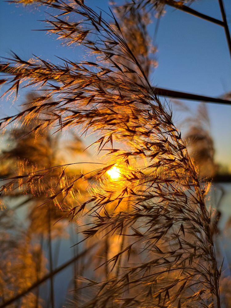 Фотография автора Александр Хухлов