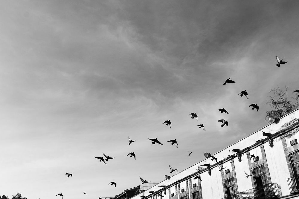 Photograph by Cesar Torres