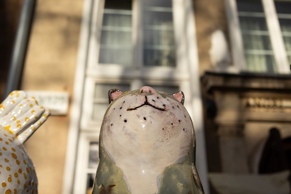 Photograph by andrey denisov