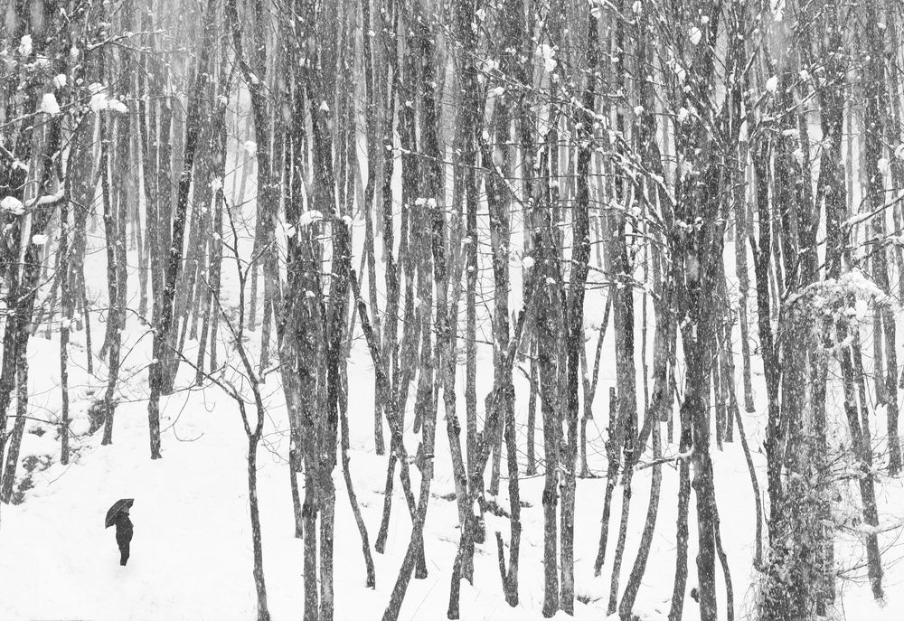 Photograph by Artin darvishi