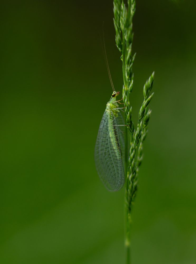 Photograph by Анна Осинцева