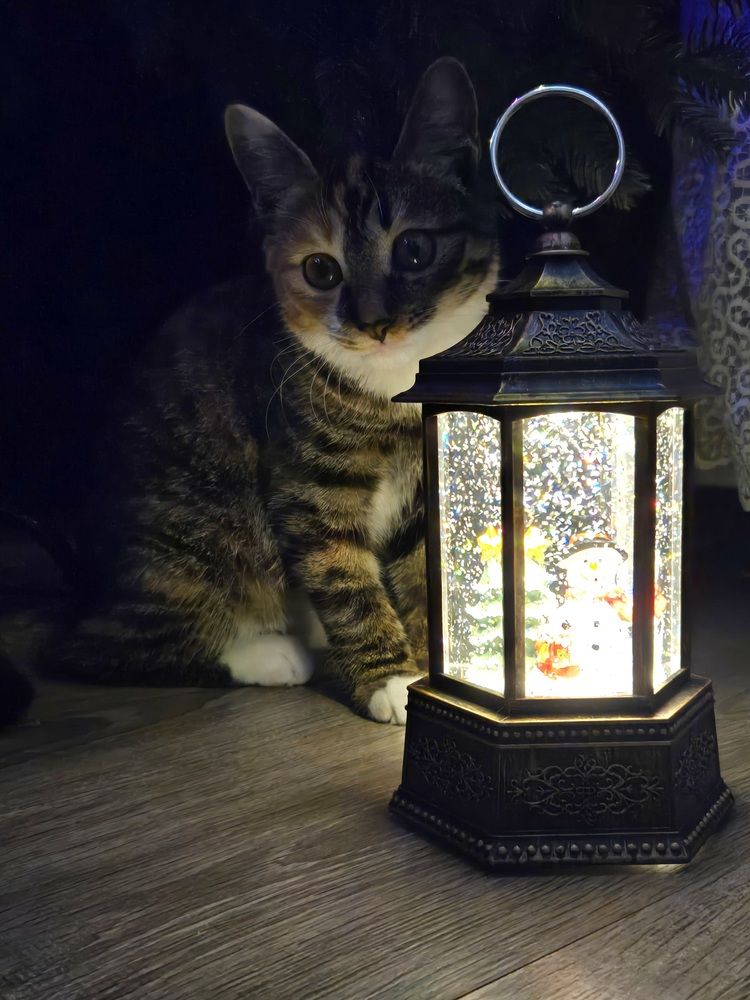 Photograph by Жанна Регор