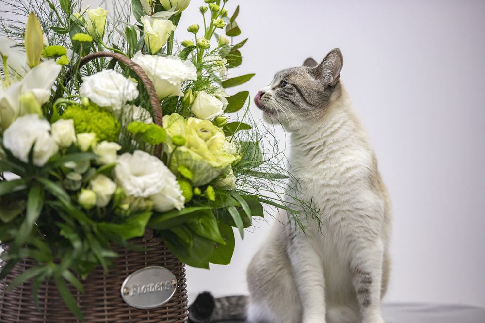 Photograph by Александр Парфенов