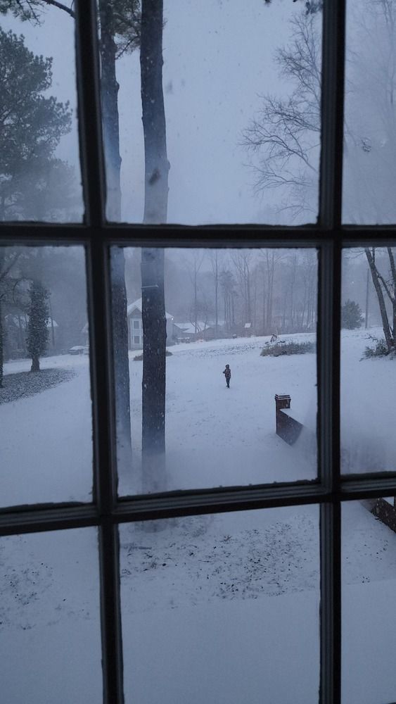 Photograph by Elena Shliachkova