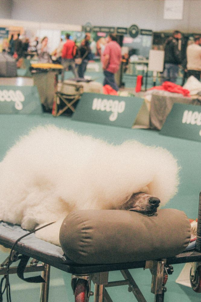 Photograph by Mónica Ramires