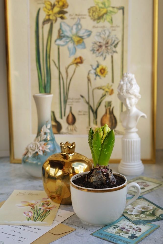 Photograph by Елена Белехова