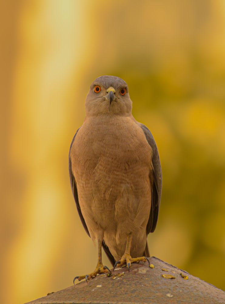 Photograph by Reyaansh Mittal