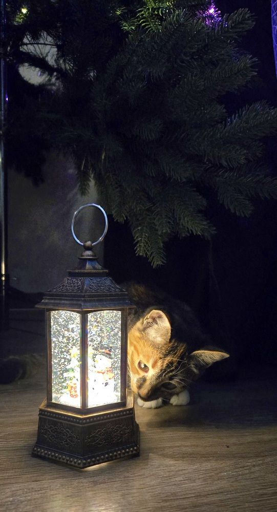 Photograph by Жанна Регор