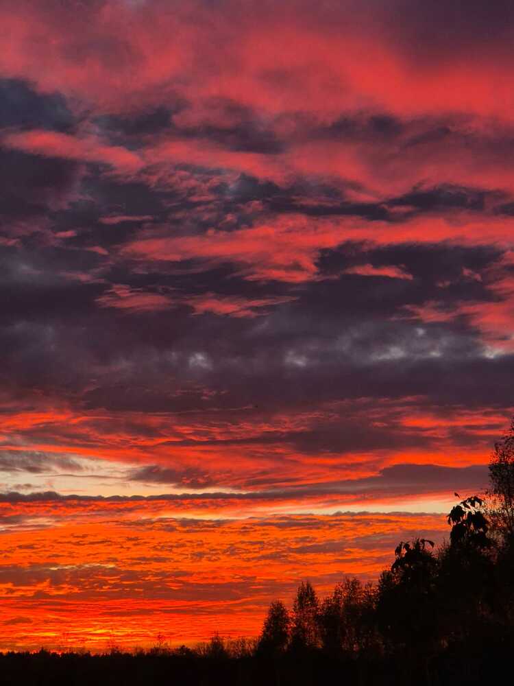 Photograph by Юлия