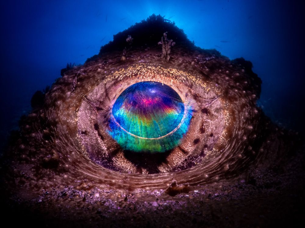 Фотография автора Francisco Sedano