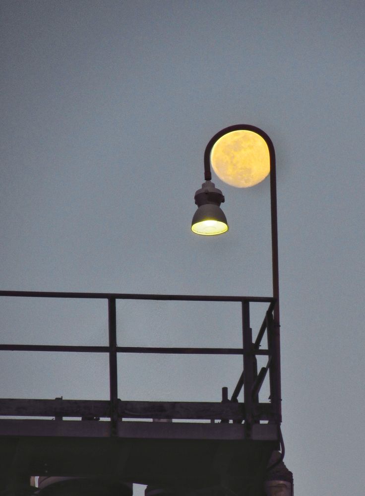 Photograph by Hamid espanani