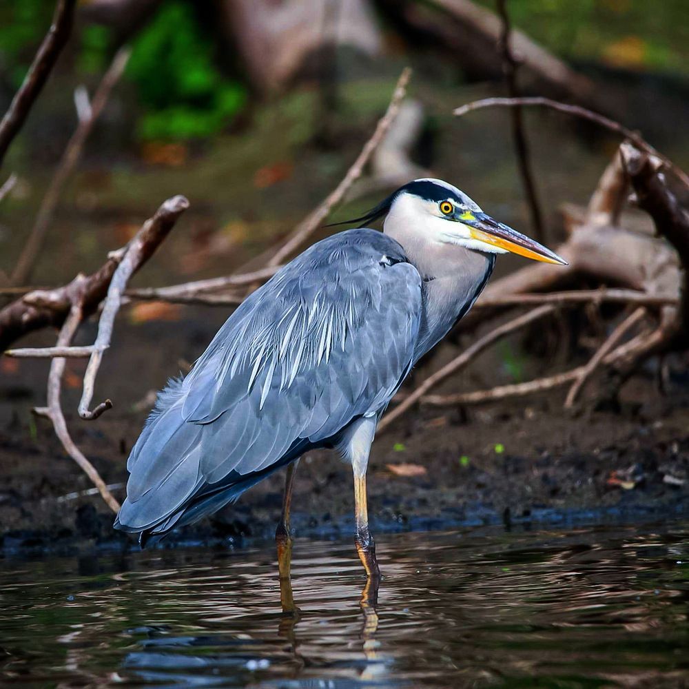 Photograph by Hell Boy