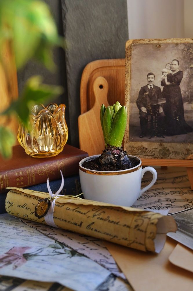 Photograph by Елена Белехова