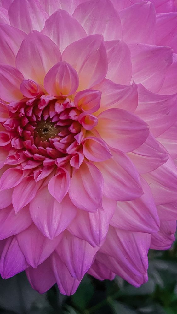 Photograph by Анна Леонова