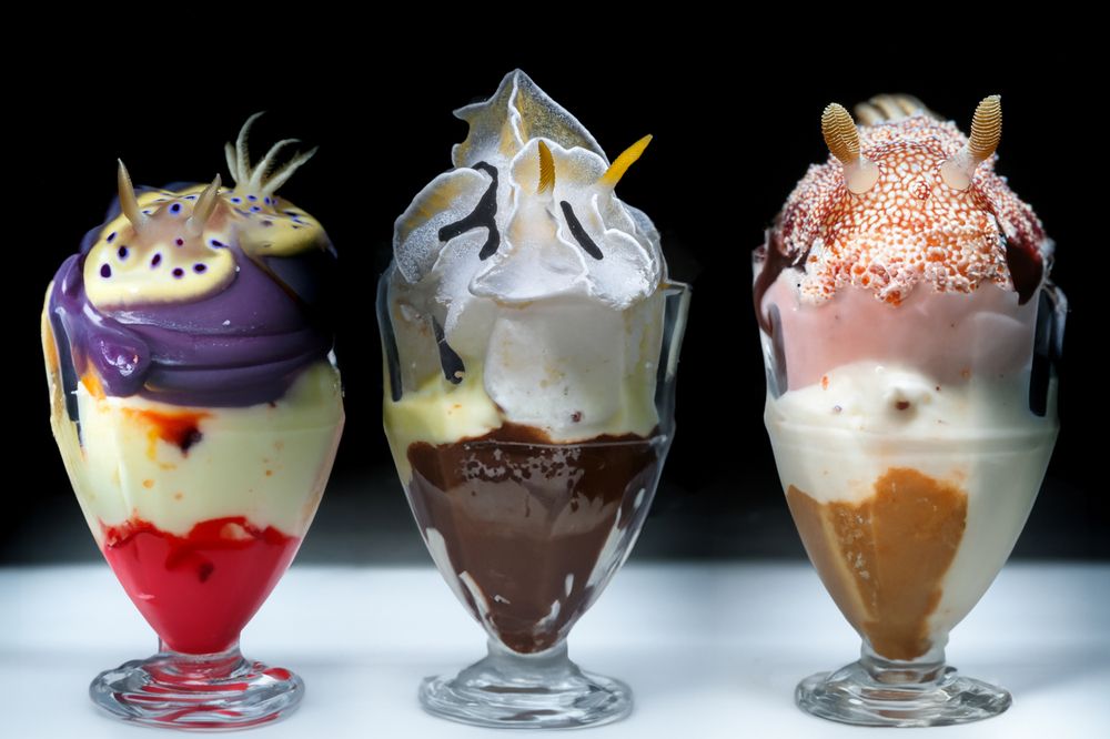 Фотография автора Francisco Sedano