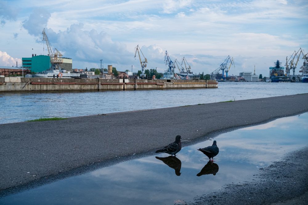 Photograph by Anastasia Vladimirovna