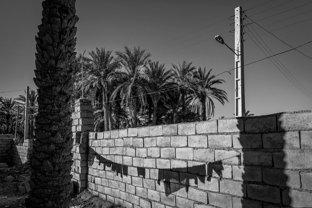 Фотография автора Behdani Iman