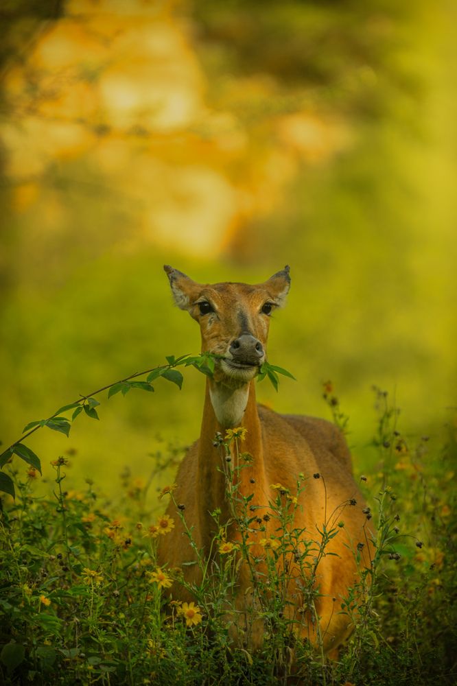 Photograph by Reyaansh Mittal