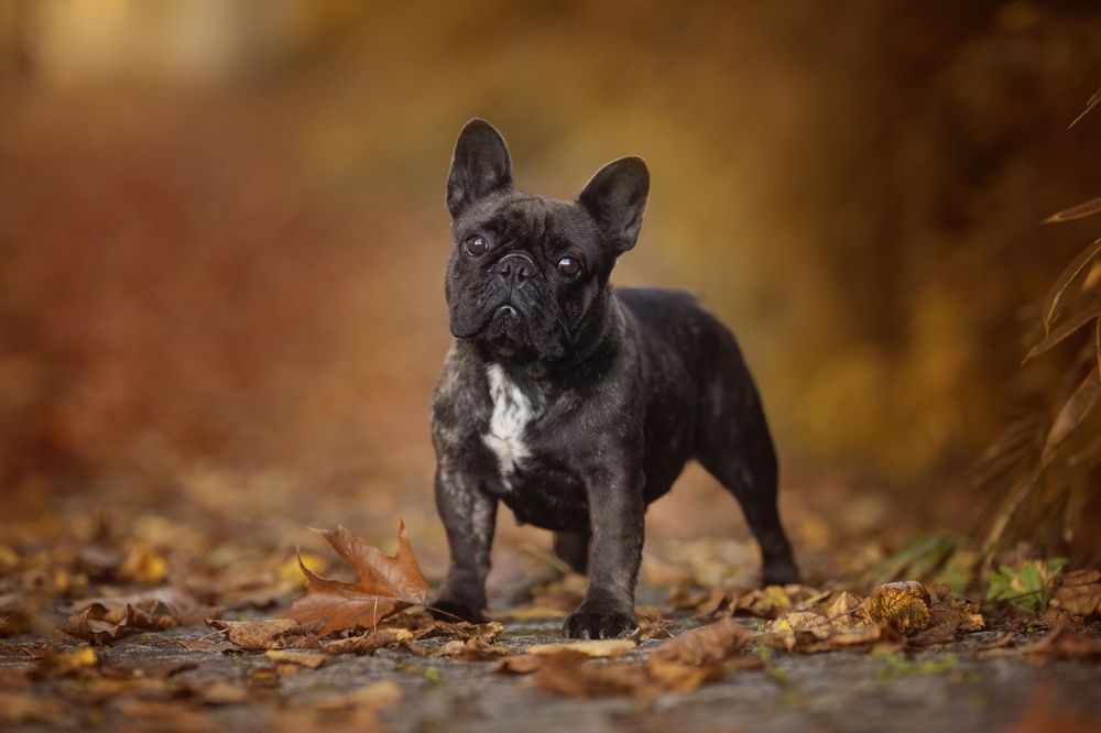 Photograph by Alexandre Marques