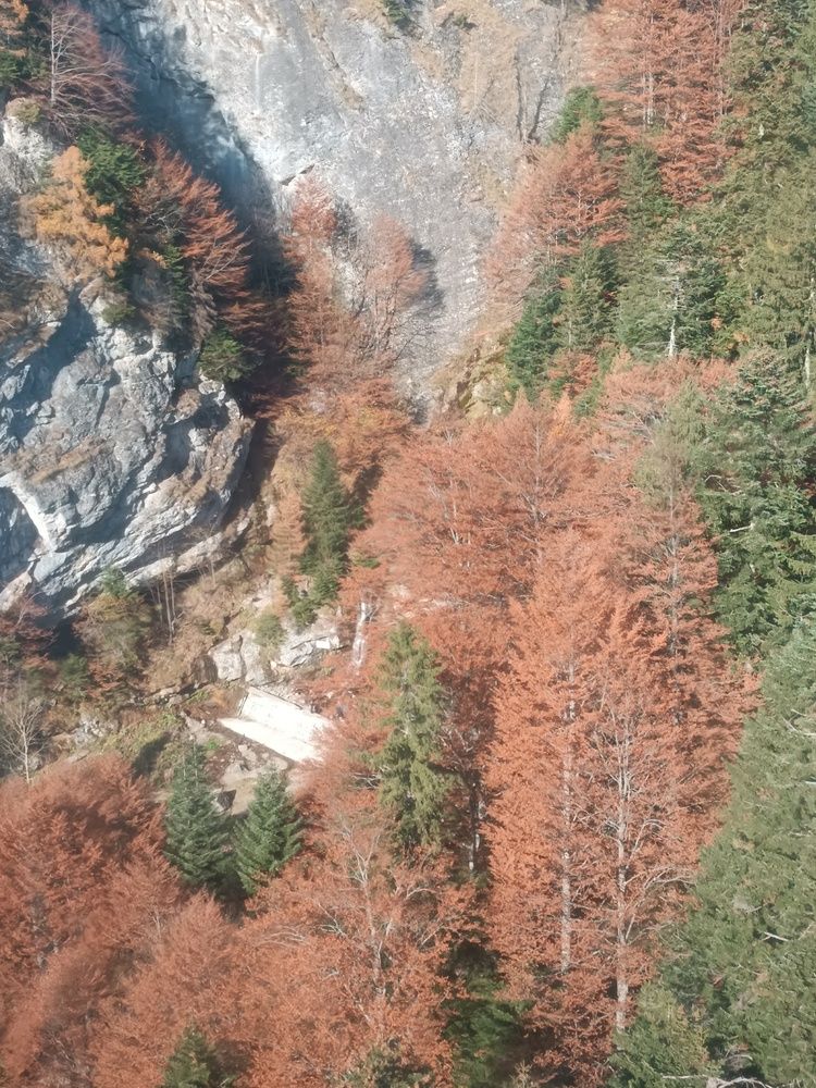 Photo #11945392