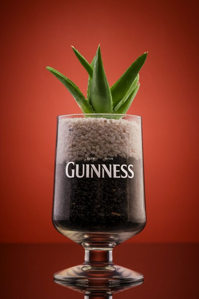 Фотография автора Danilo Bragazzi