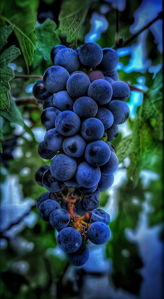 Photograph by Polina Svirida